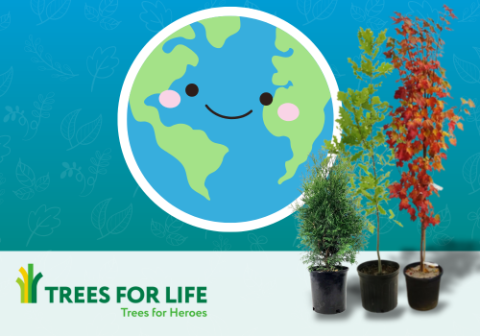 three trees in pots and a cartoon graphic of the earth with a smiling face on it, the trees for life logo in the bottom left corner